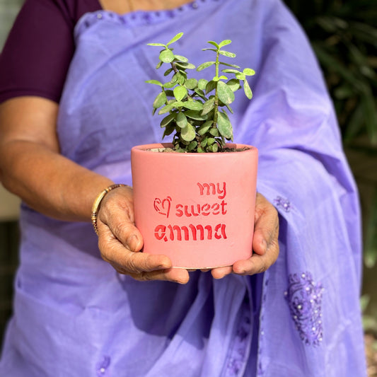 Mother's Love Planter