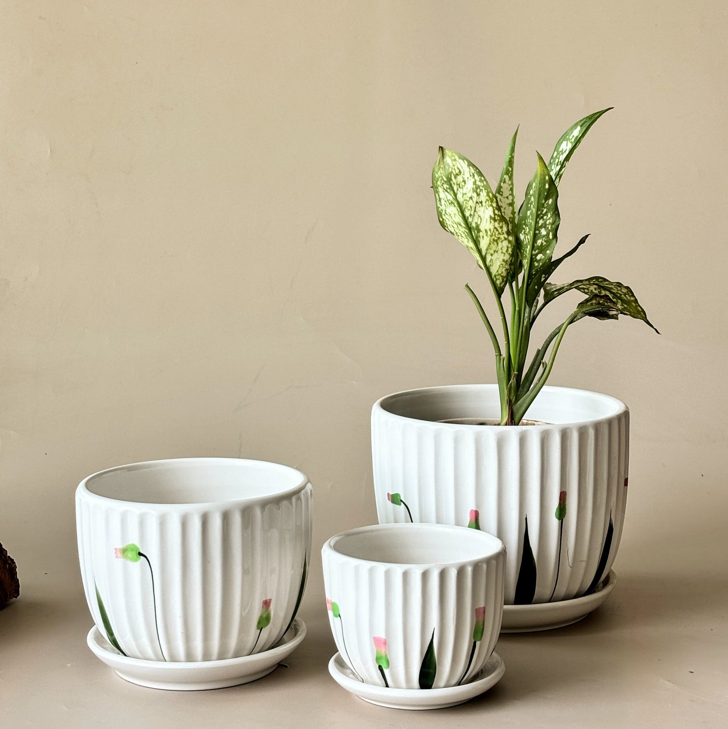 Scent of Summer Ceramic Planters Set of Three