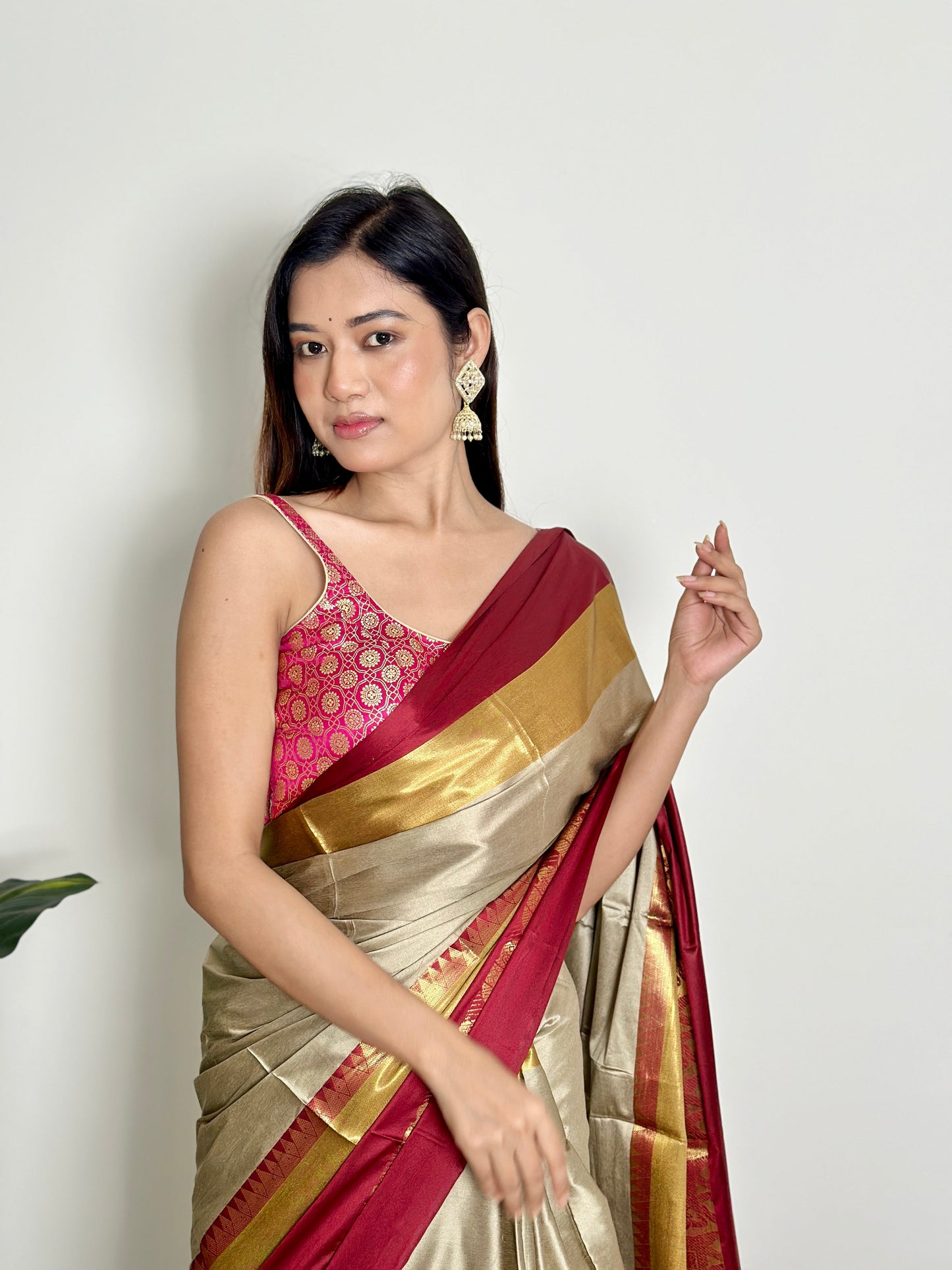 Warm Grey Beige Handwoven Silk Saree