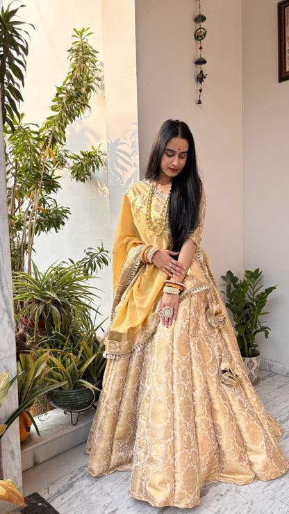 Shreeji Lehenga