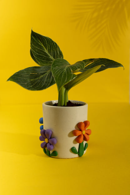 Bloom Boom Ceramic Planter