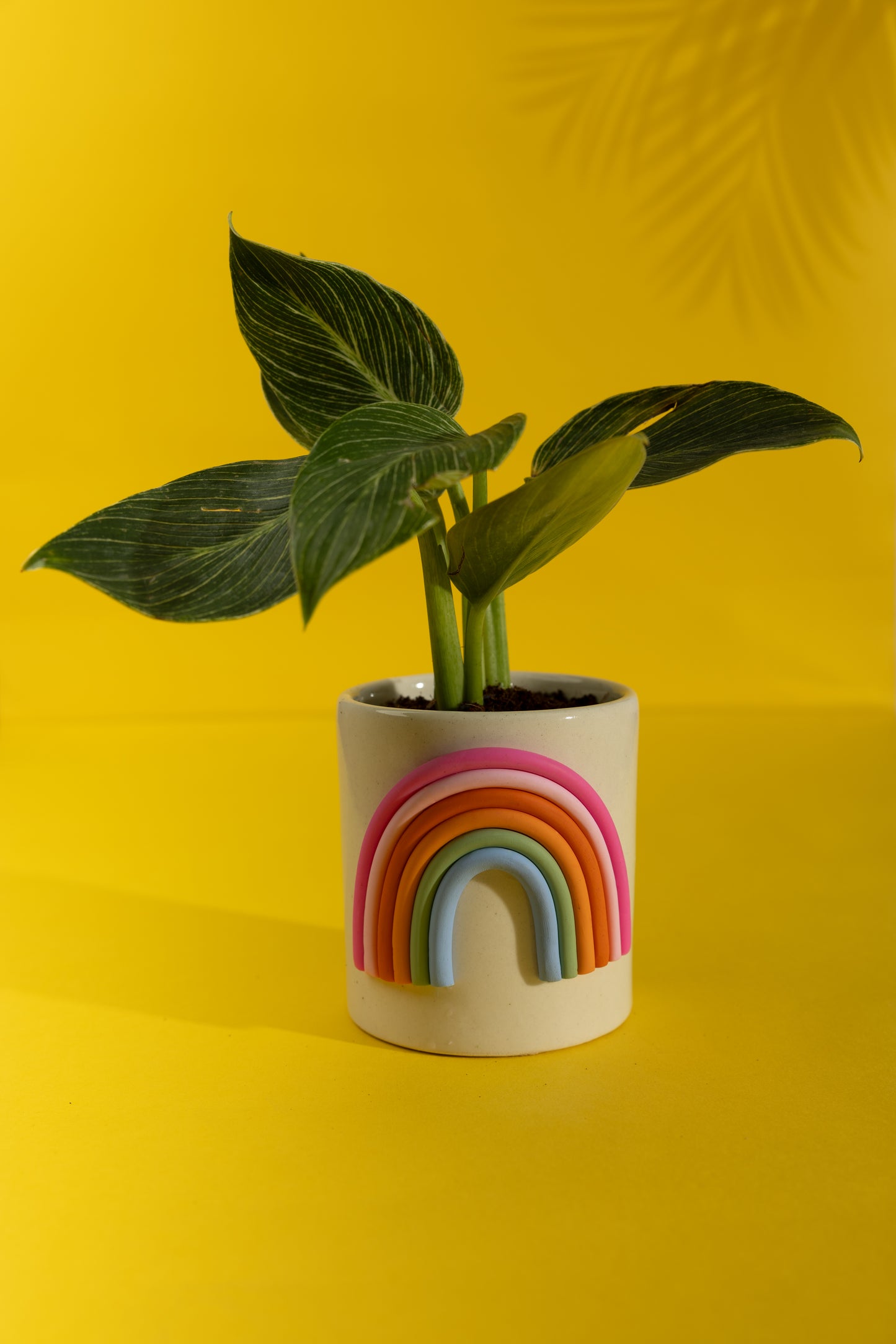 Happy Hues Ceramic Planter