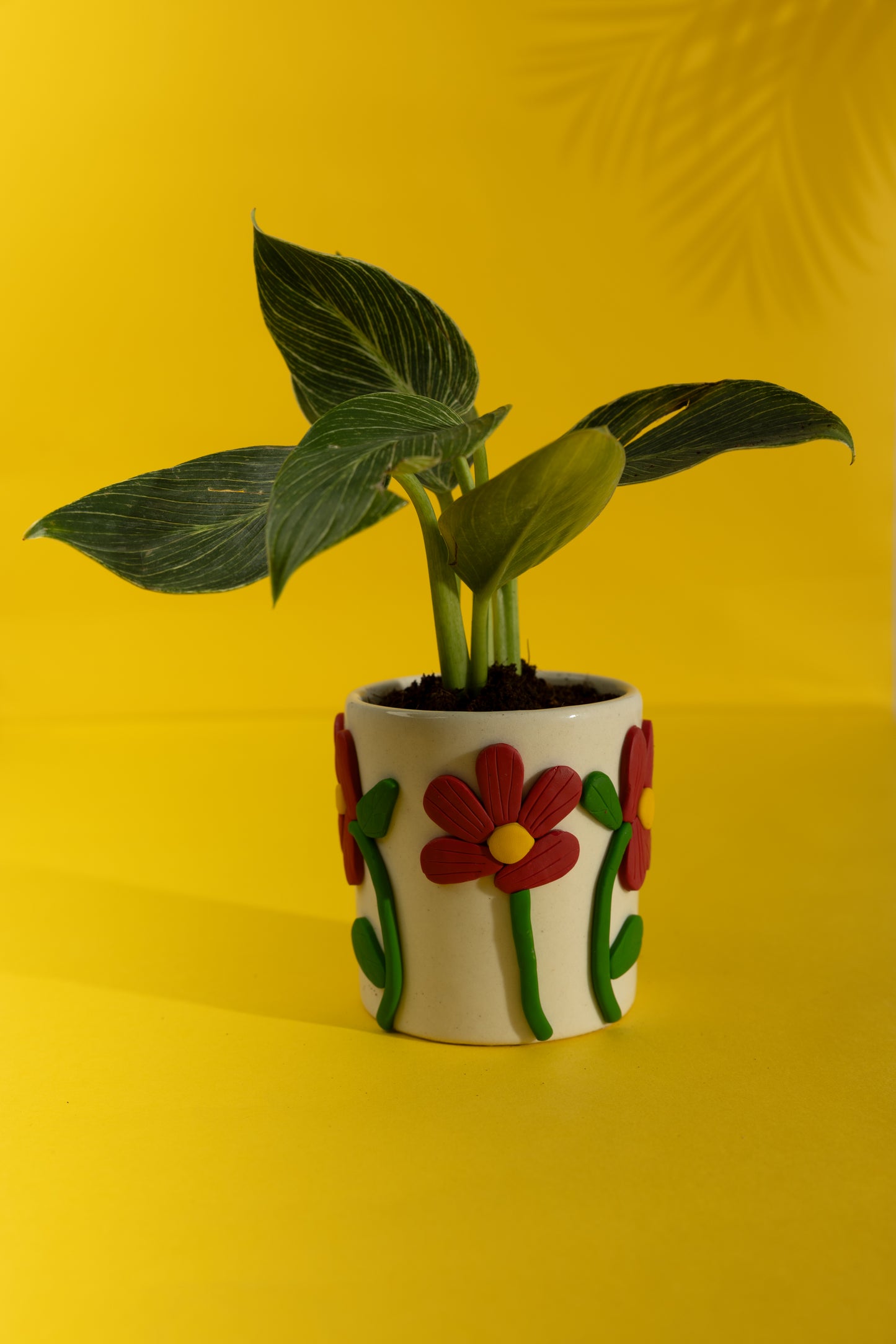 Ruby Ceramic Planter