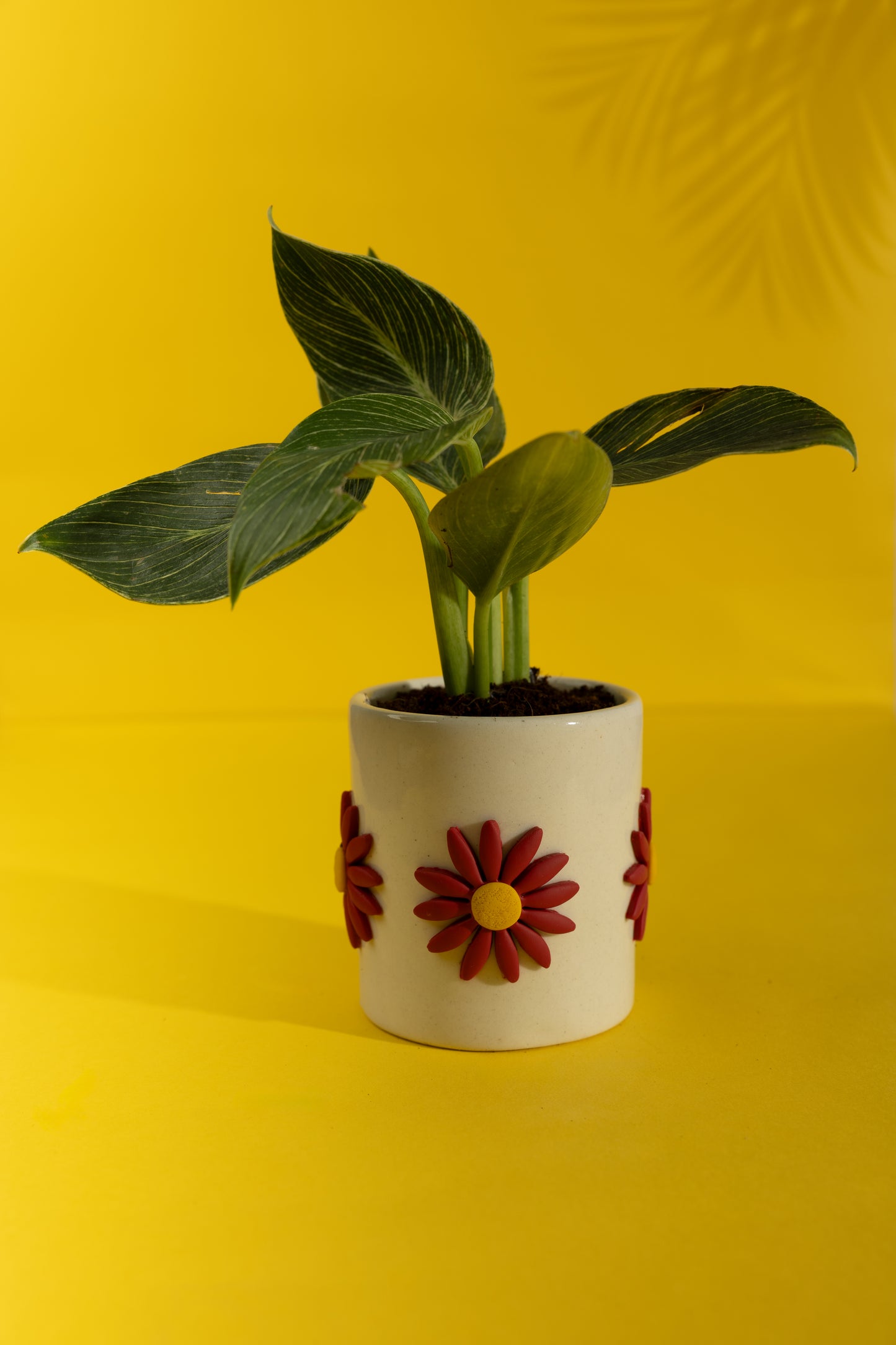 Color Burst Ceramic Planter