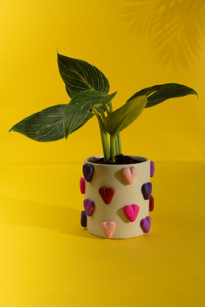 Harmony Ceramic Planter