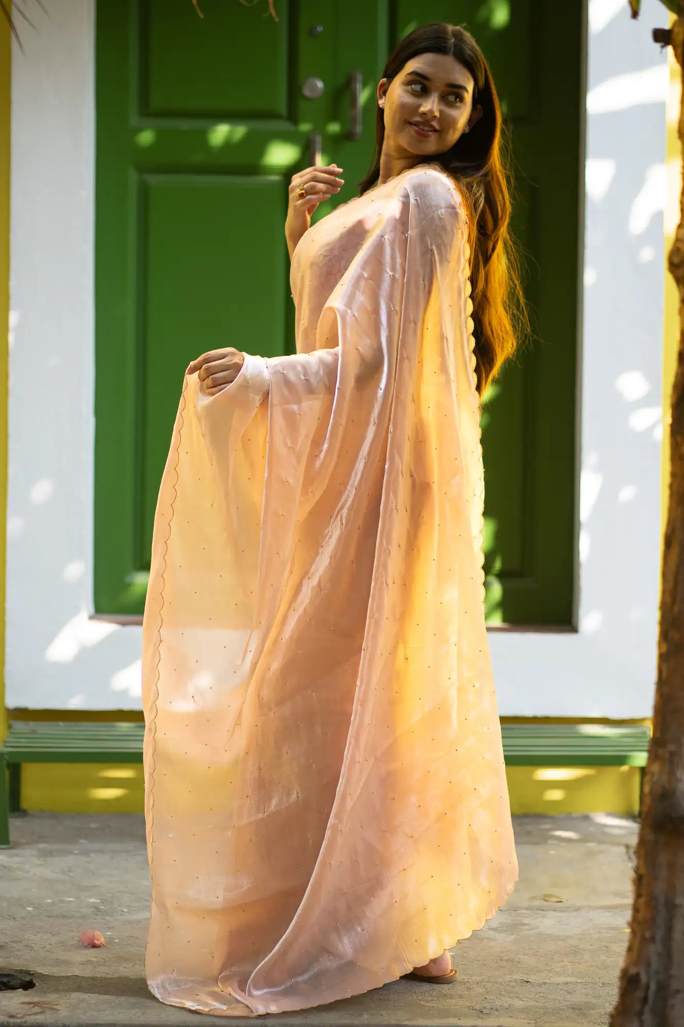 Scallop Border Organza Saree