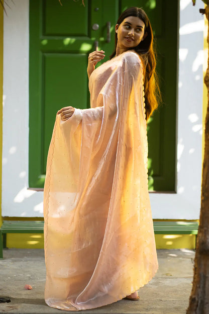 Scallop Border Organza Saree