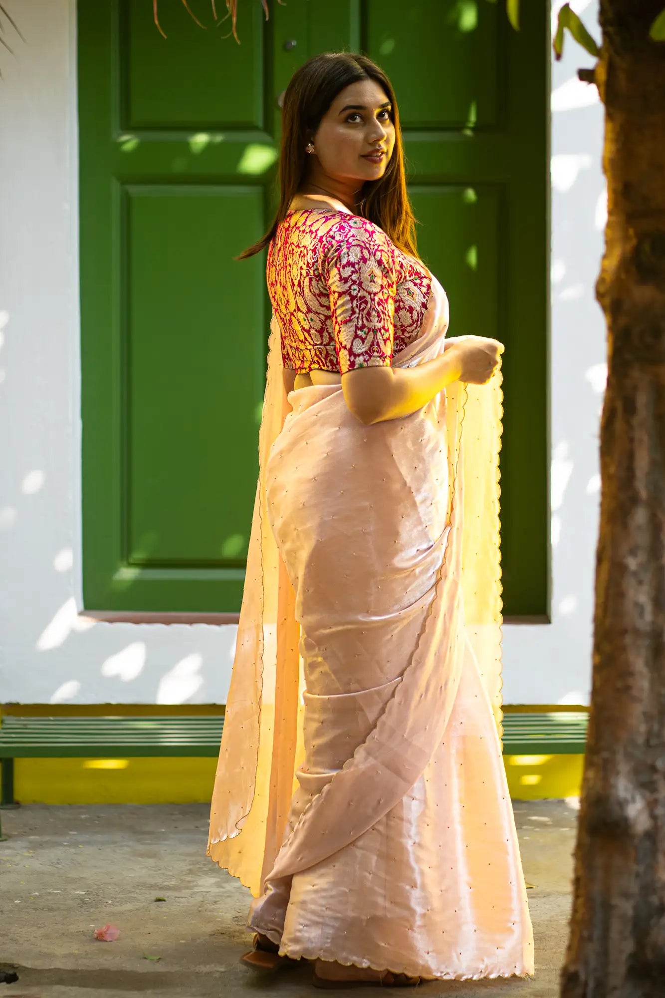 Scallop Border Organza Saree