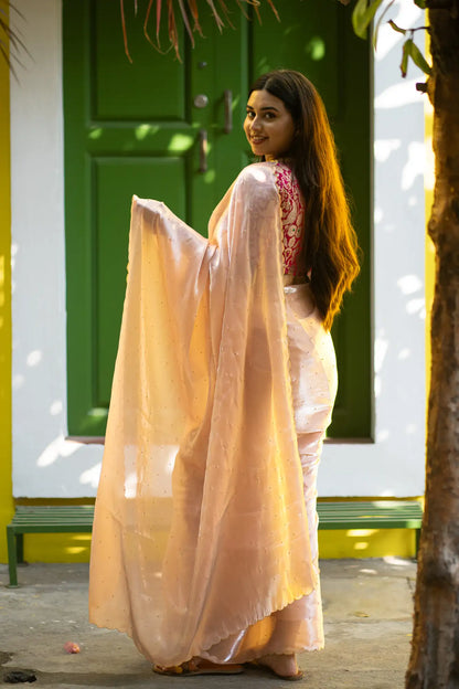 Scallop Border Organza Saree