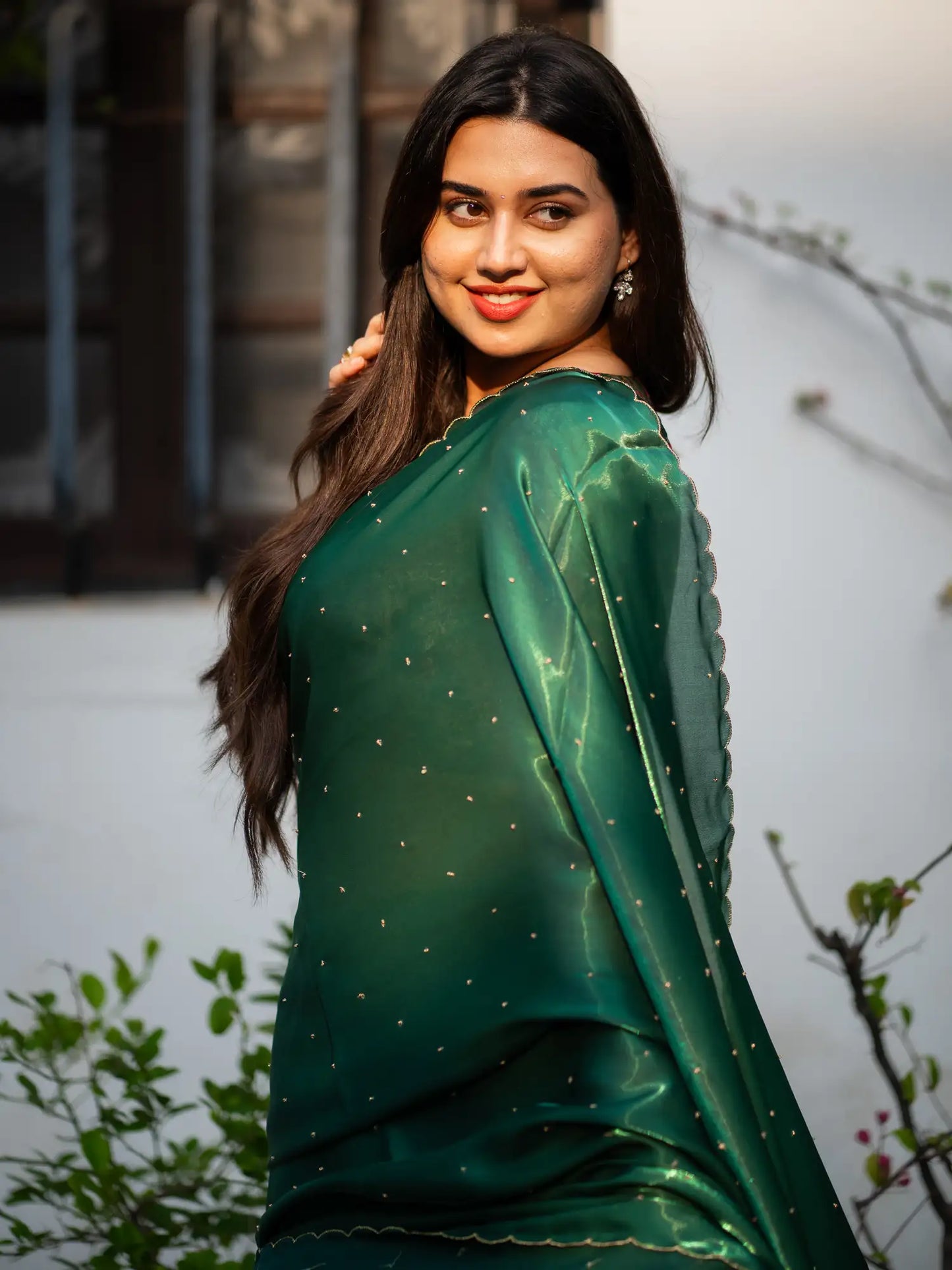 Scallop Border Organza Saree