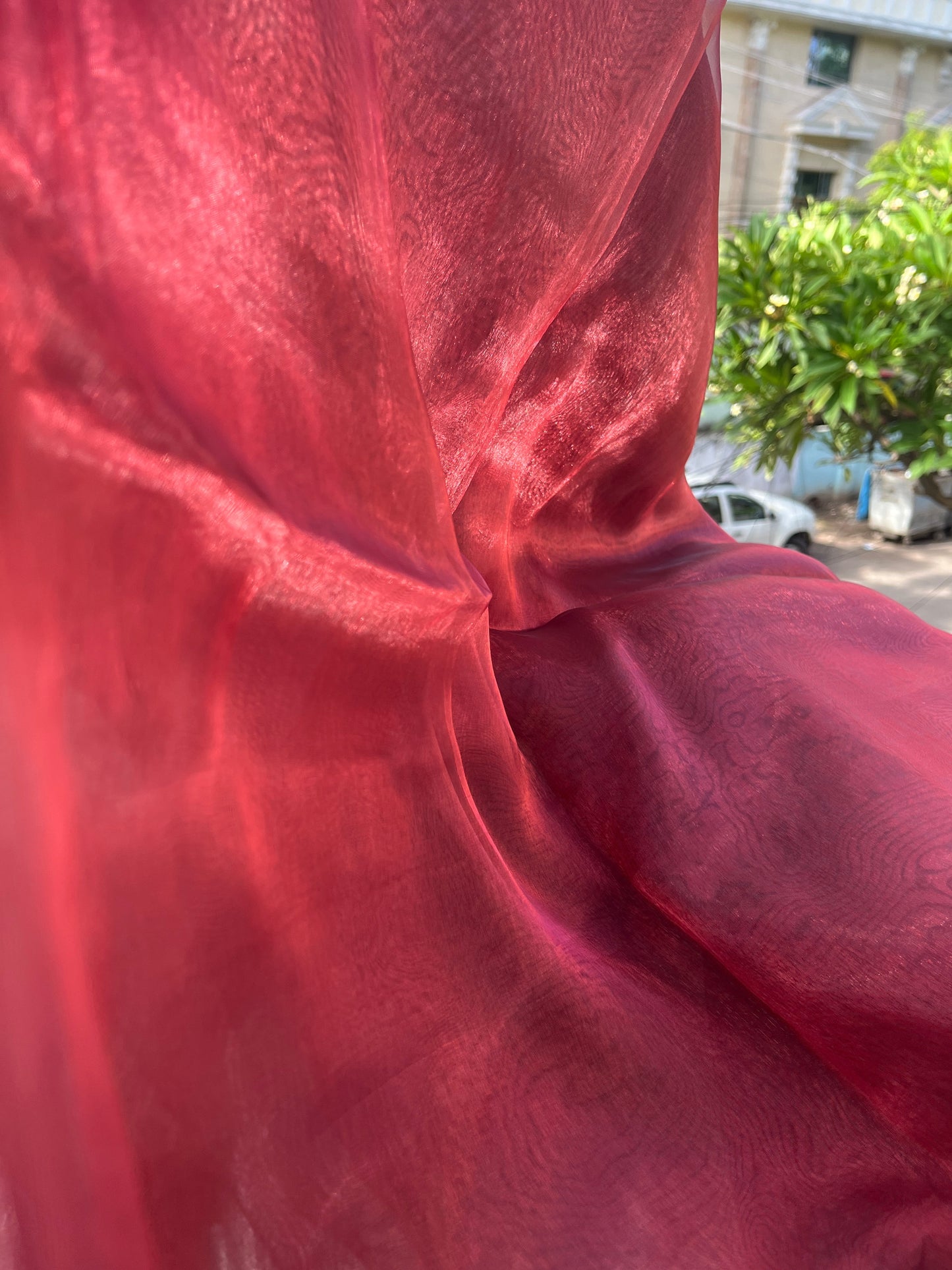 Blood Red Organza Saree