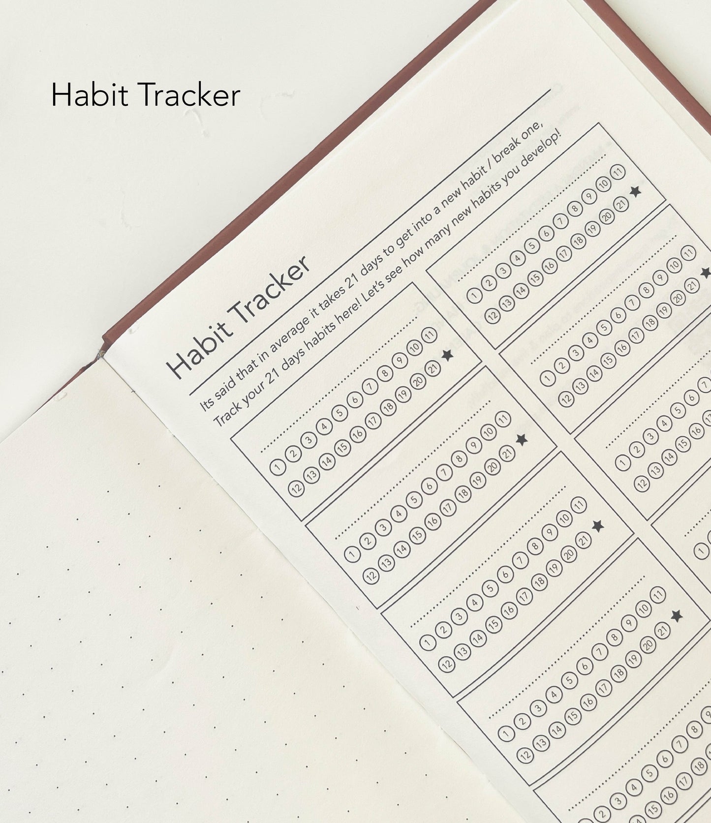 PlanDoReflect: Undated Yearly Planner + Guided Journal | Road not Taken