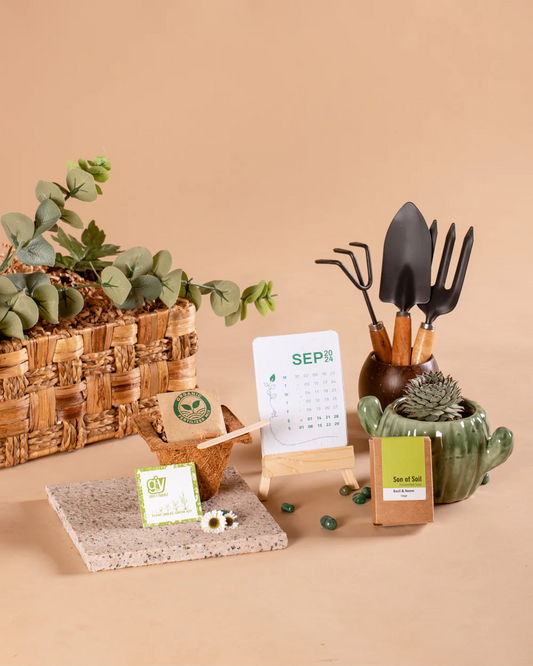 Plant Parent Hamper