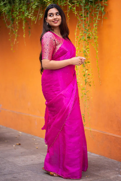 Scallop Border Organza Saree