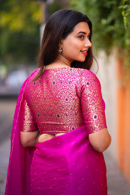 Scallop Border Organza Saree