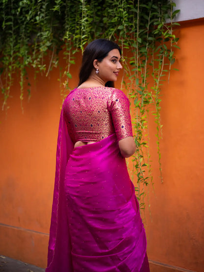 Scallop Border Organza Saree