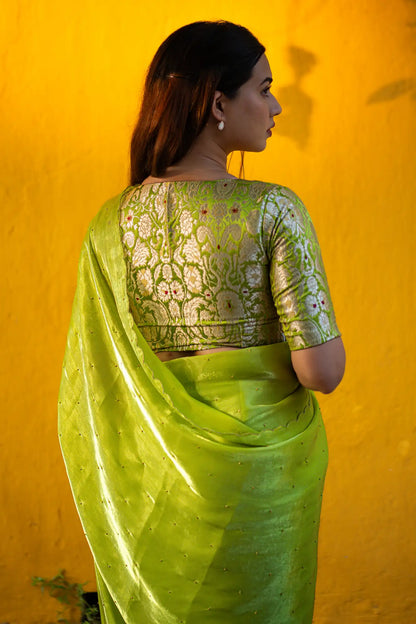 Scallop Border Organza Saree