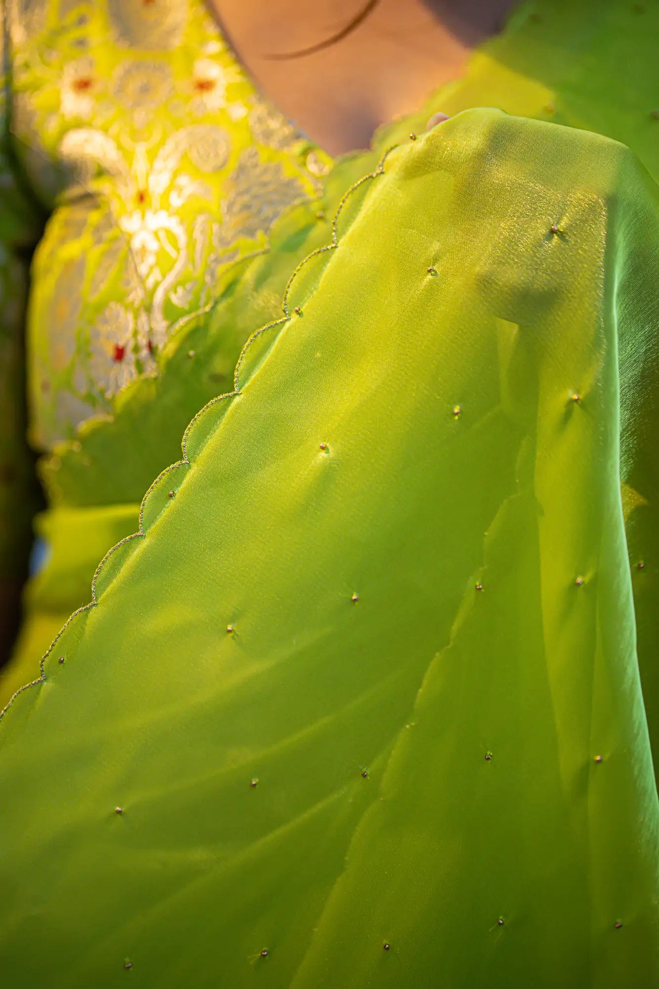 Scallop Border Organza Saree