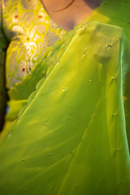 Scallop Border Organza Saree