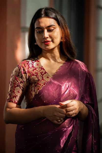 Scallop Border Organza Saree