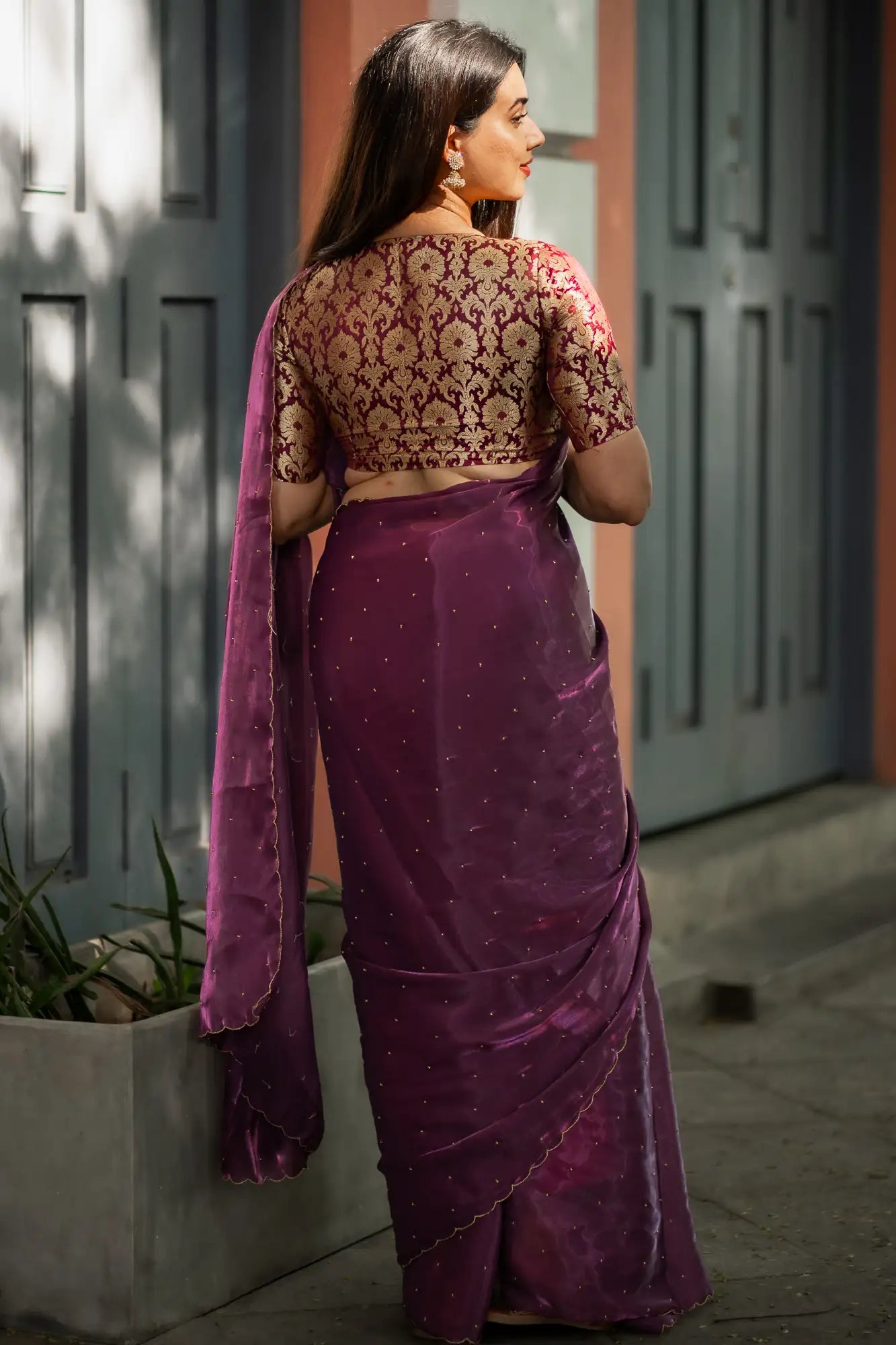 Scallop Border Organza Saree