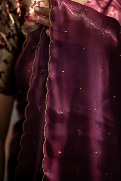 Scallop Border Organza Saree