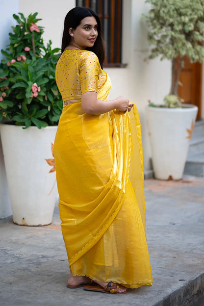 Scallop Border Organza Saree