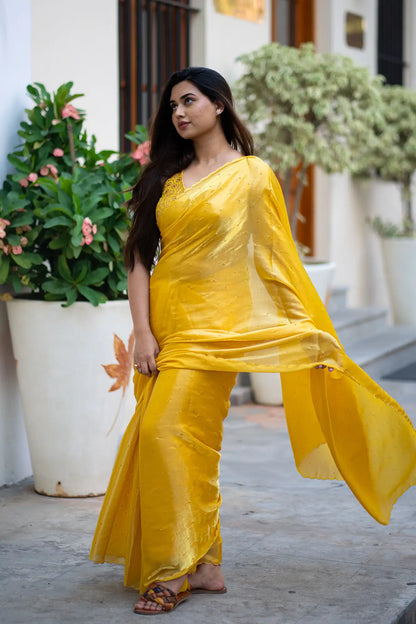 Scallop Border Organza Saree