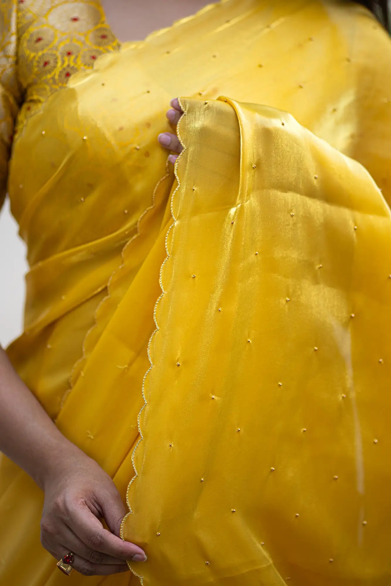 Scallop Border Organza Saree