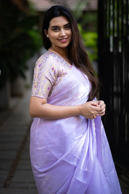 Scallop Border Organza Saree