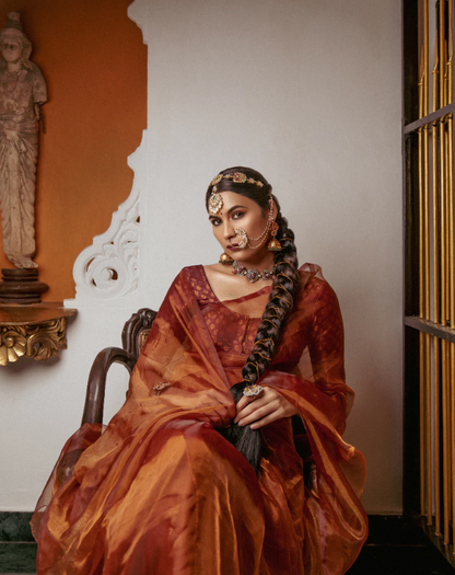 Honey Organza Saree Bundle