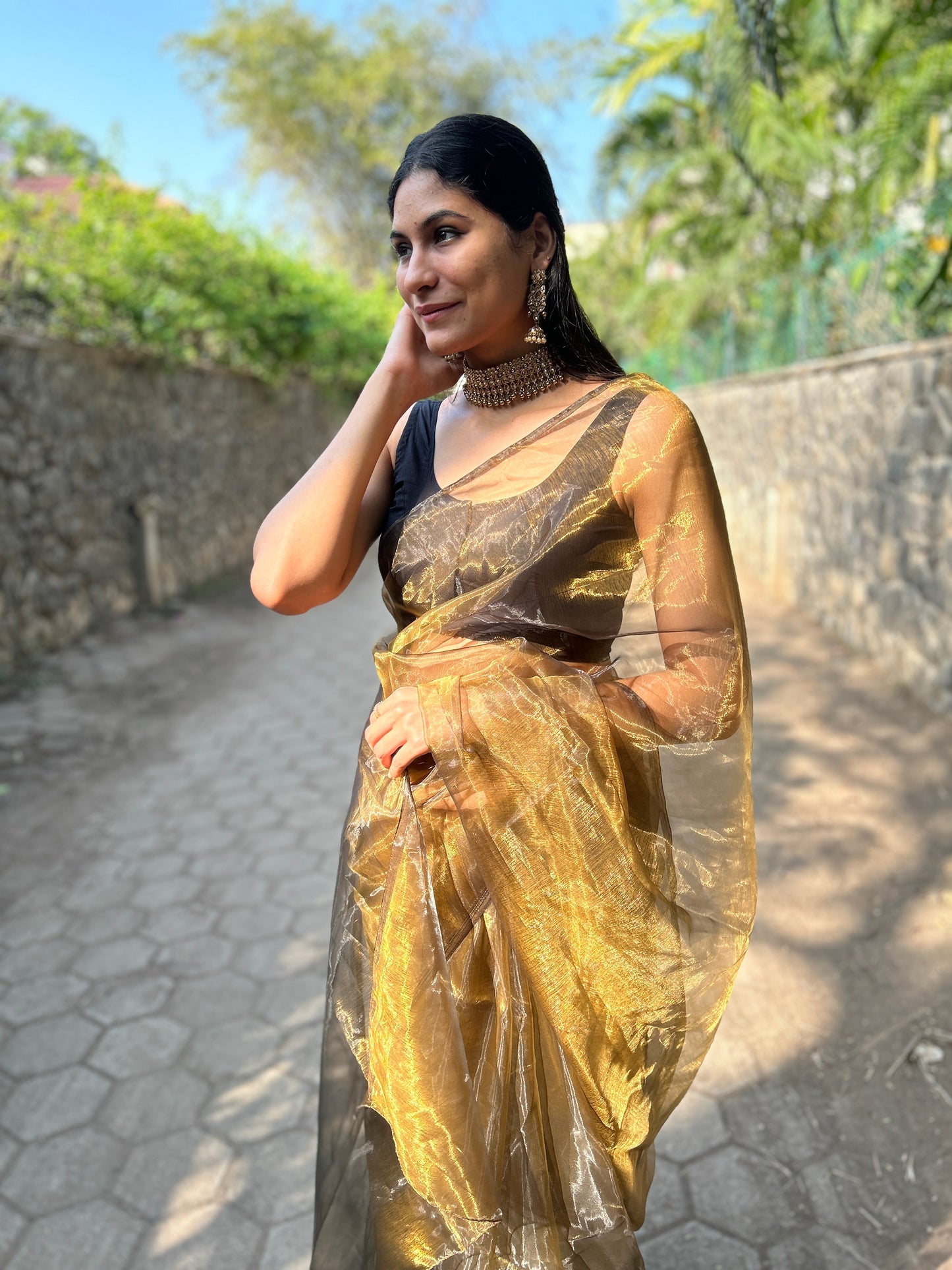 Glimmering Shadows Black-Gold Organza Saree