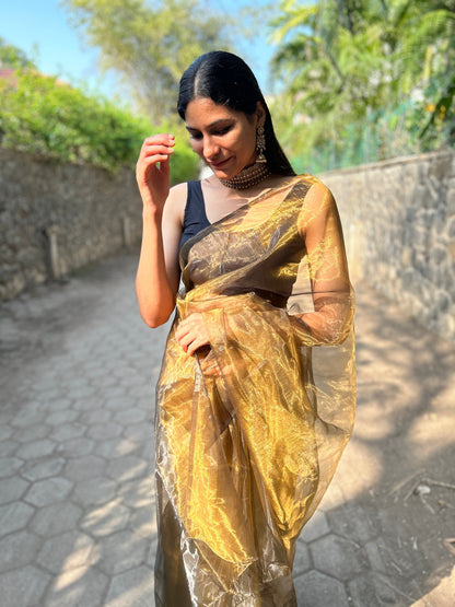 Glimmering Shadows Black-Gold Organza Saree