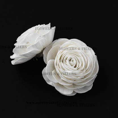 Sola Beauty Rose Flower 6 cm (Pack of 10)