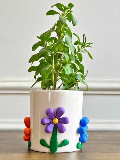 Bloom Boom Ceramic Planter