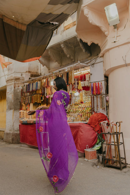 Savina Chiffon Hanpainted Saree