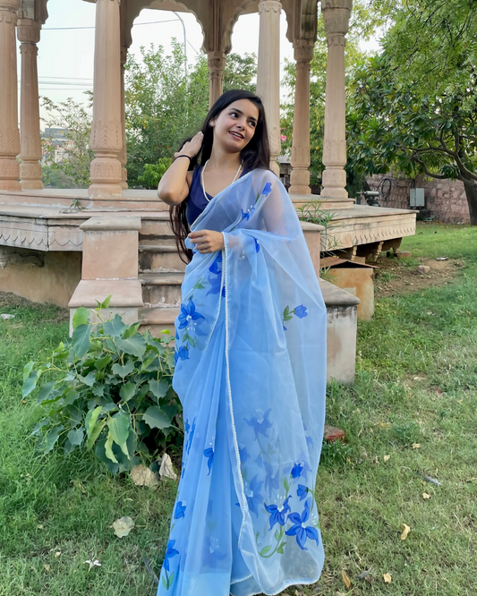 sky blue 'kashish' hand-painted saree (2)