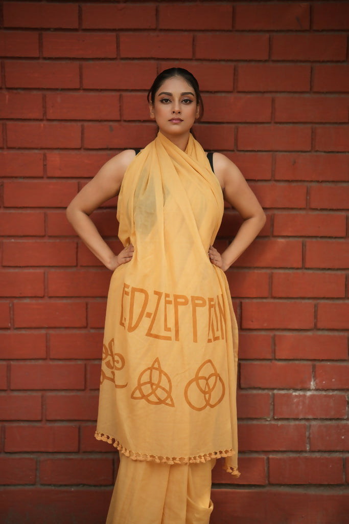 Led Zeppelin Saree