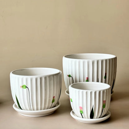 Scent of Summer Ceramic Planters Set of Three