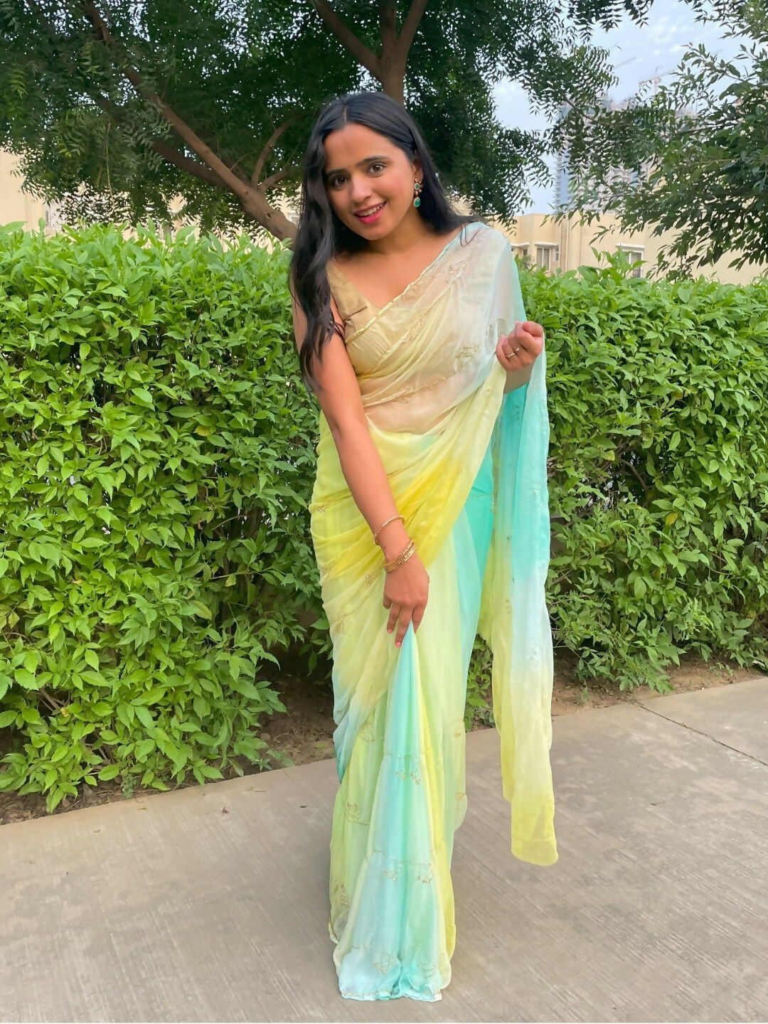 Rani Zari Chiffon Saree