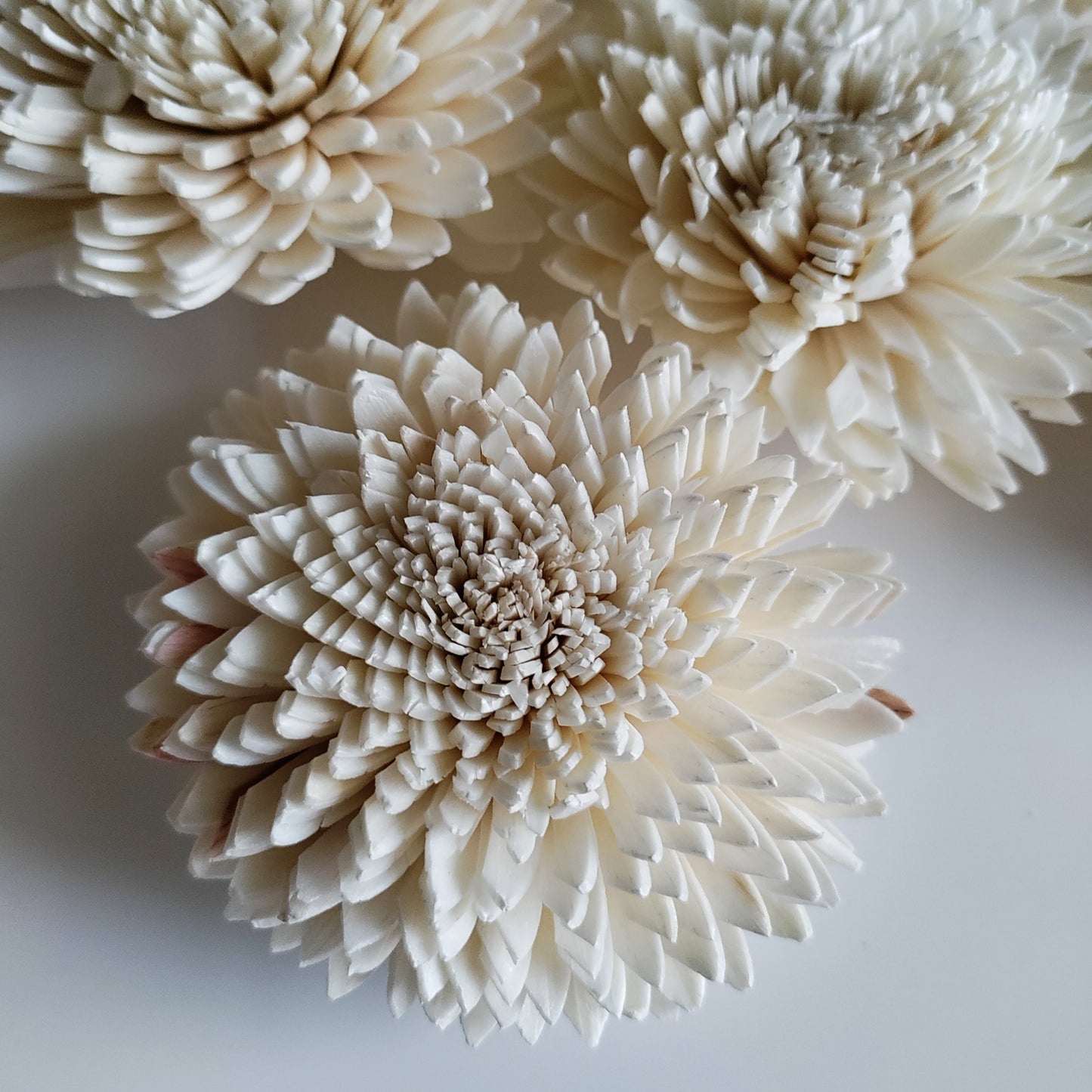 White Wedding Bunch (40 Flowers, Wire Stem included)