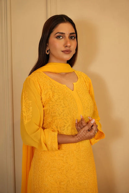 Hoor Chikankari Kurti