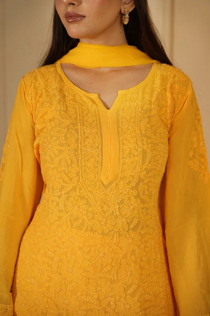 Hoor Chikankari Kurti