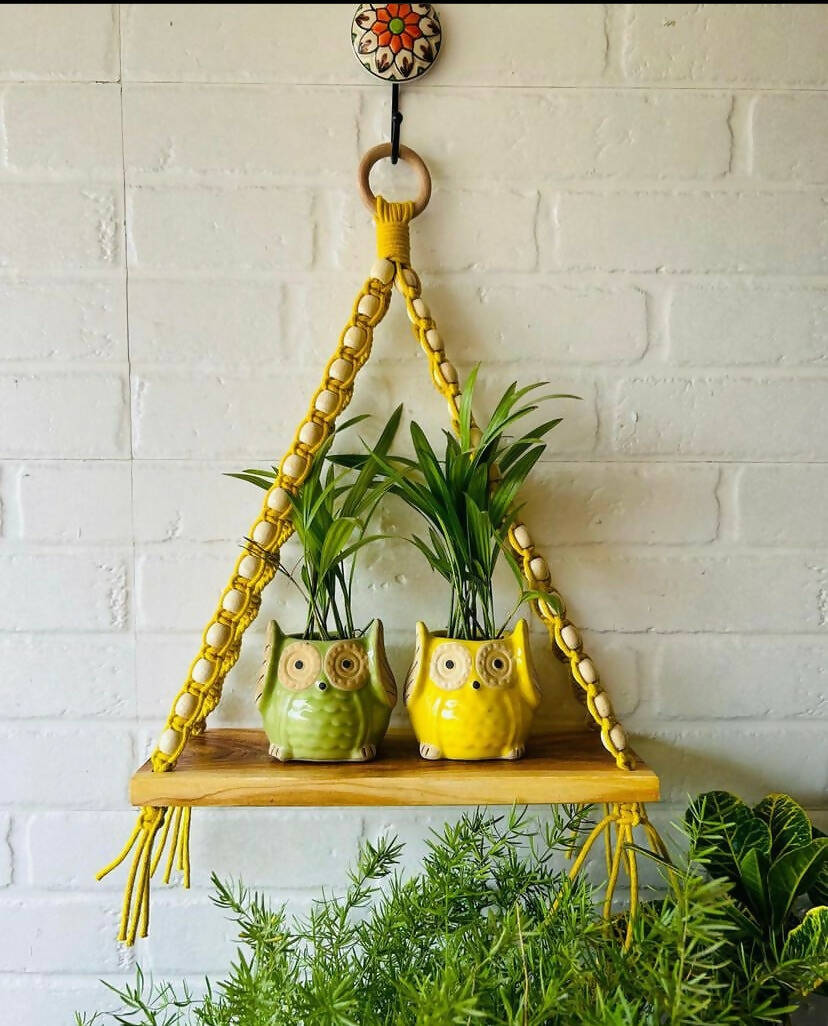 Natural Wood Yellow Beaded Shelf| With Ceramic Planters And Hook