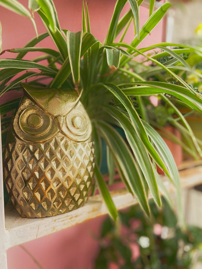 Golden Owl Figurine