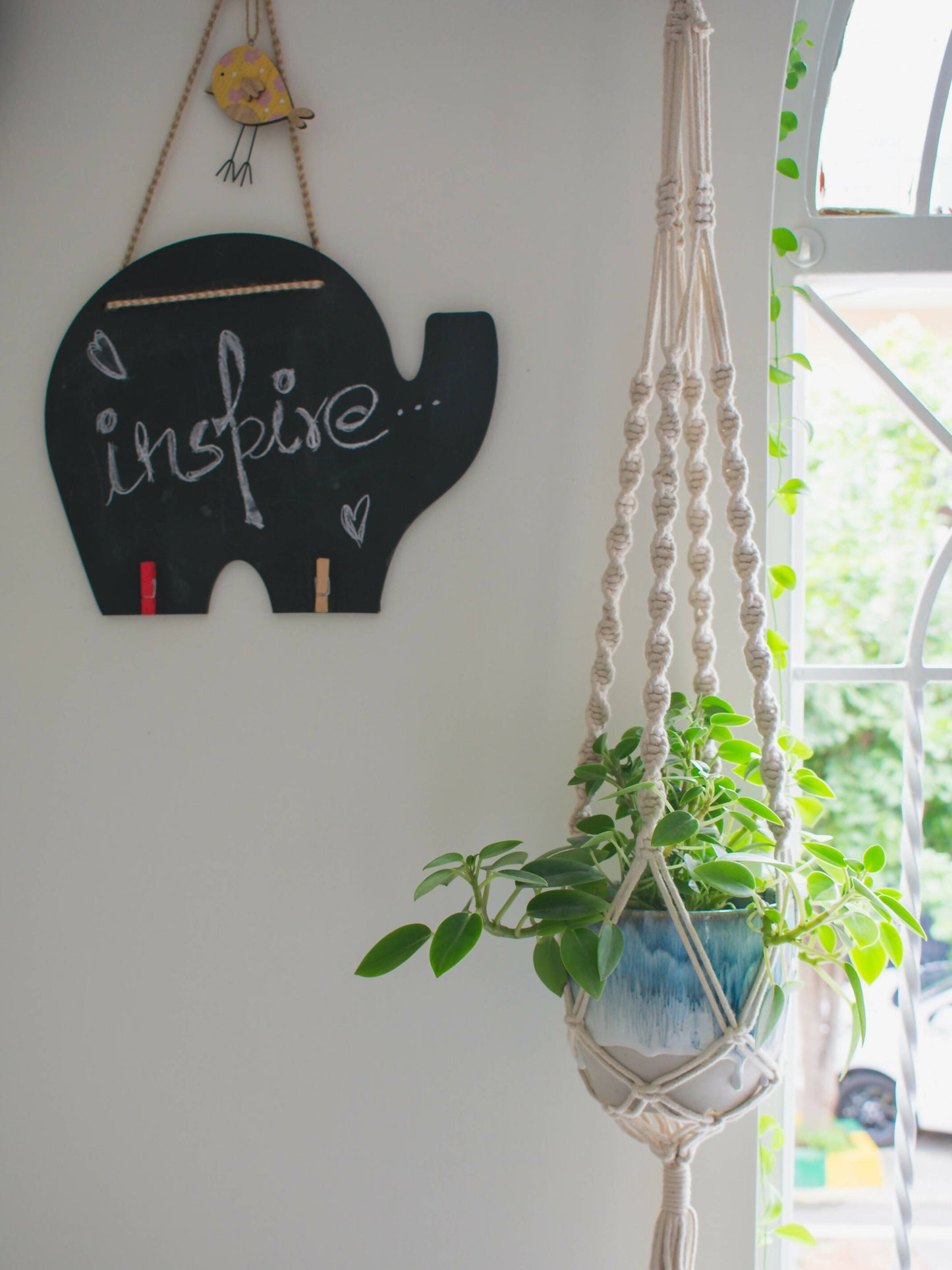 Macramé Pot Hanger