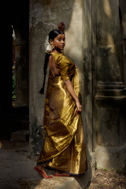 Shikara Gold Tissue Saree