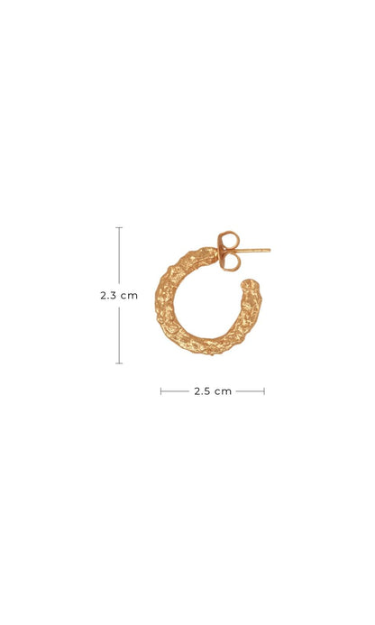 Luna Small Hoops