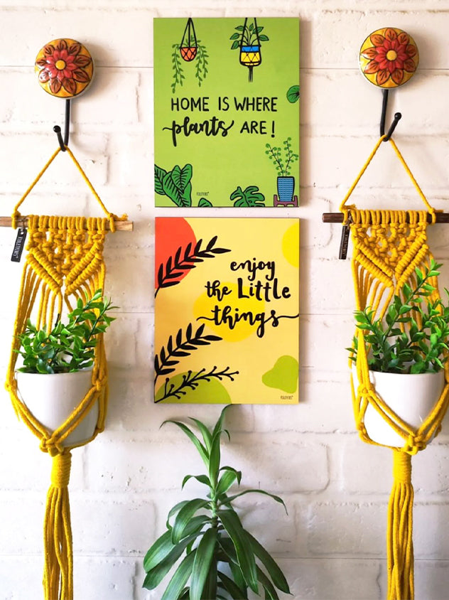 'Home is Where Plants Are' Combo | Balcony decor