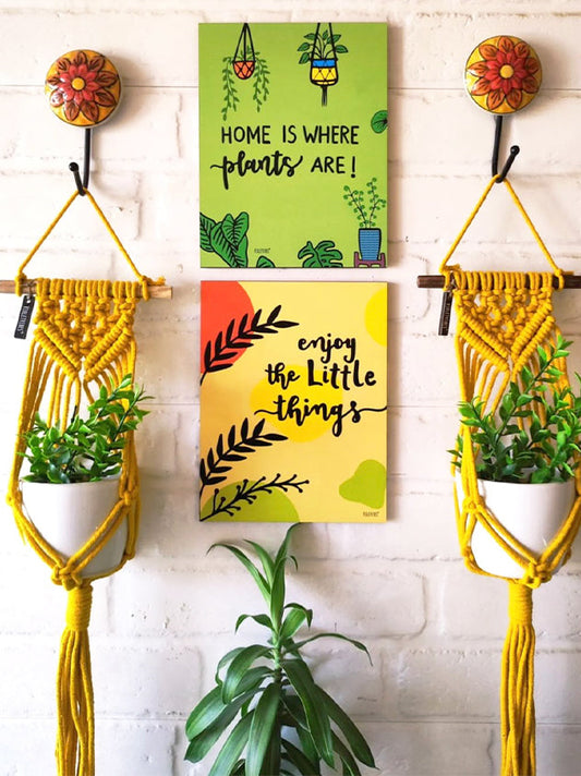 'Home is Where Plants Are' Combo | Balcony decor